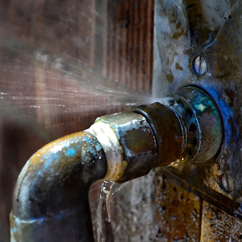 Modern kitchen with updated plumbing and clean sink area